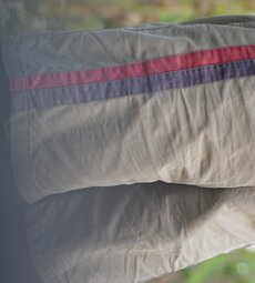 Stealing, secretly taking pictures, very bad, torn panties