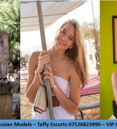 Taffy 07526823990 Escort In Mohali Call Girls