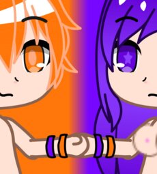 Newbie, what does Shime's do next?