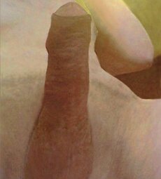 My hard cock and balls by Alhexander