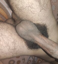 Hairy Dick