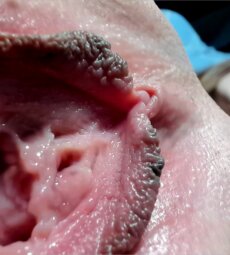 The most beautiful vaginas