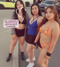 Las 3 perritas de los Mustangs