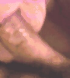 Lucy Grant loves sucking her cocks