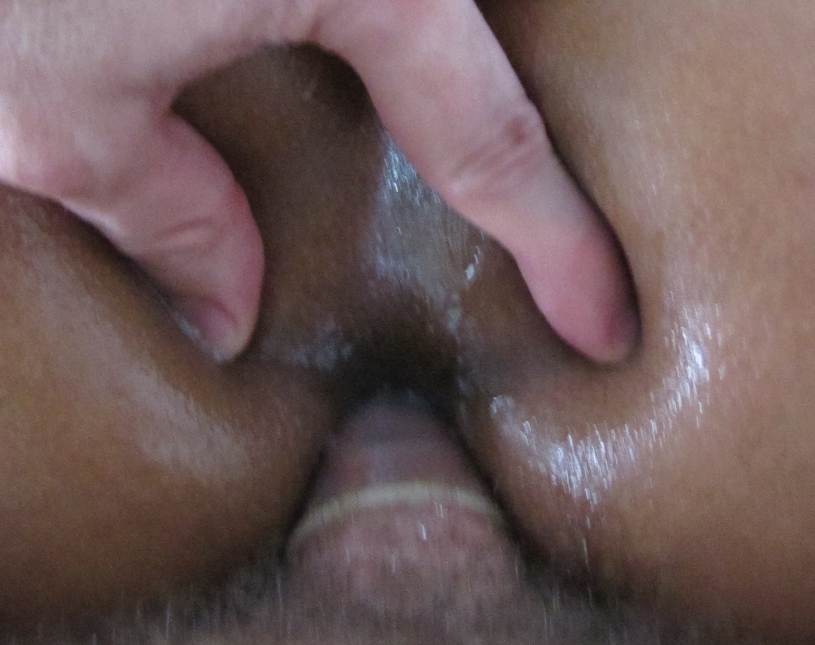 Carol Cristina - Hot Brazilian Brunette