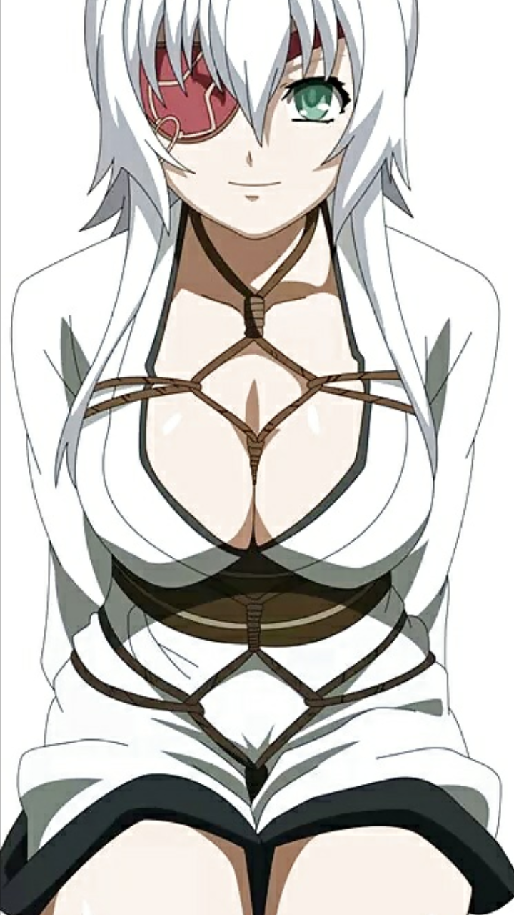 Anime,Toons & Porn 8