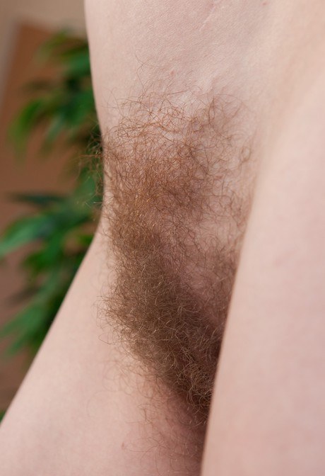 hairy pussy 3