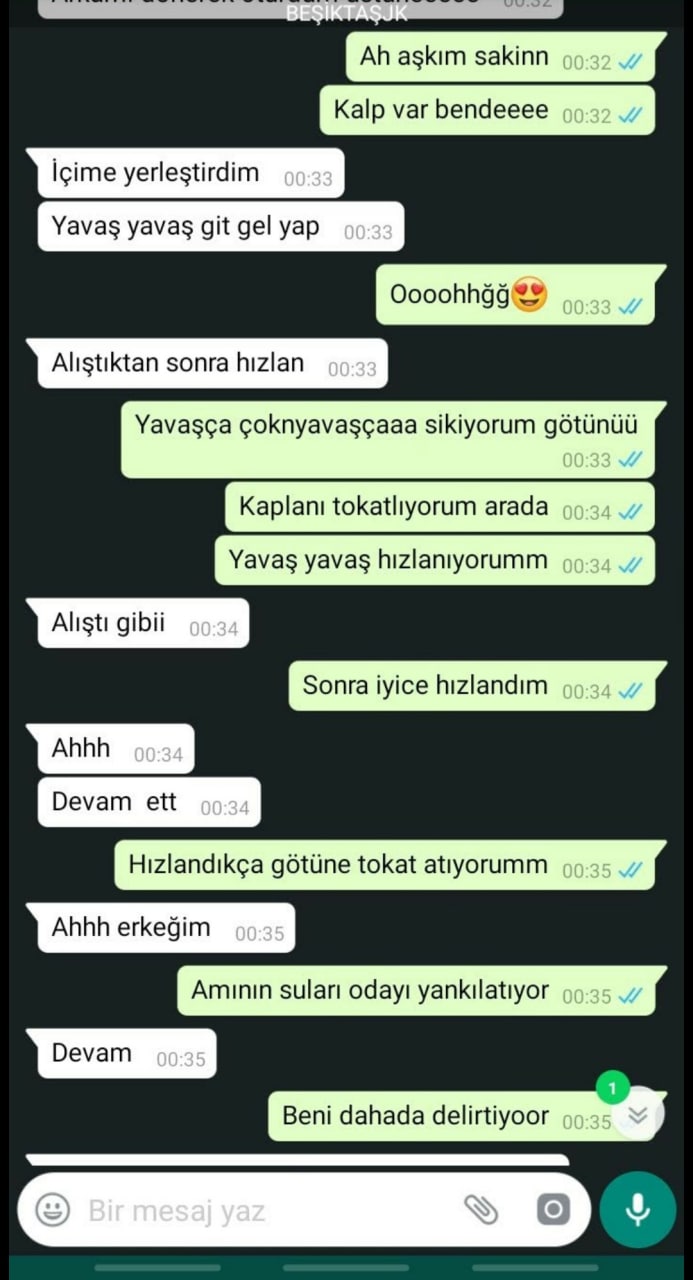 Turkish Slut Womans 3 arsivizm gallery