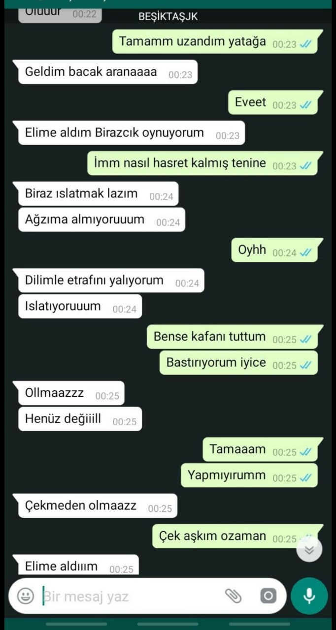 Turkish Slut Womans 3 arsivizm gallery