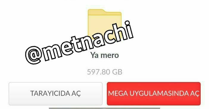 Turkish Slut Womans 10 arsivizm gallery