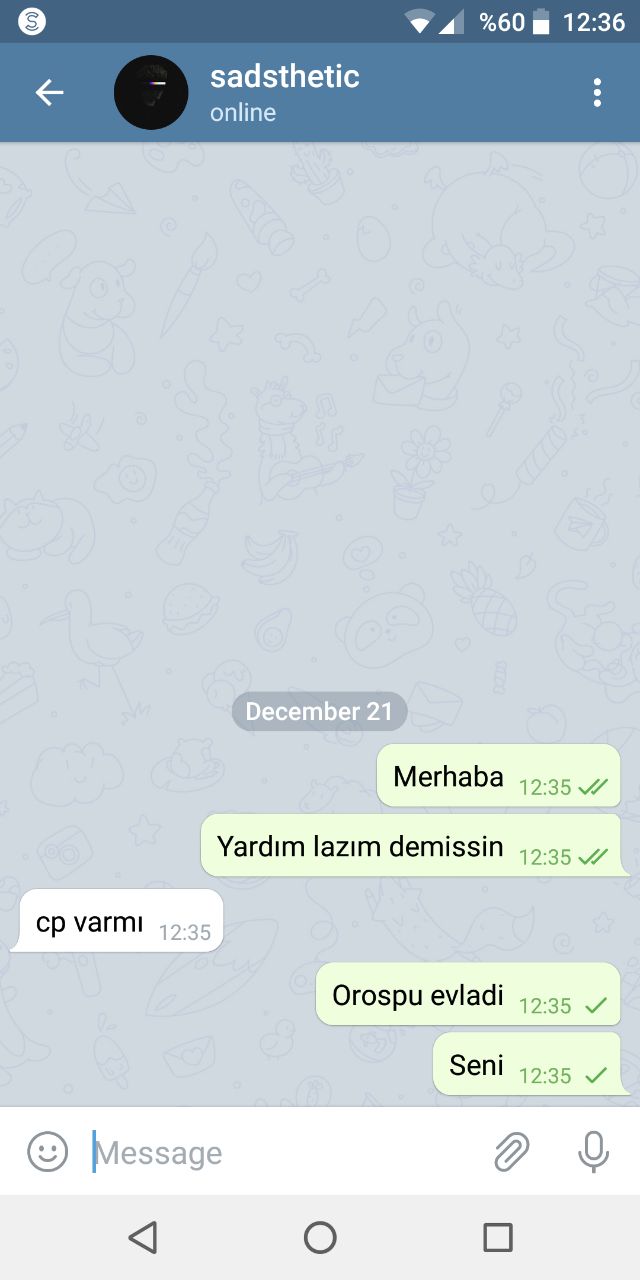 Turkish Slut Womans 13 arsivizm gallery