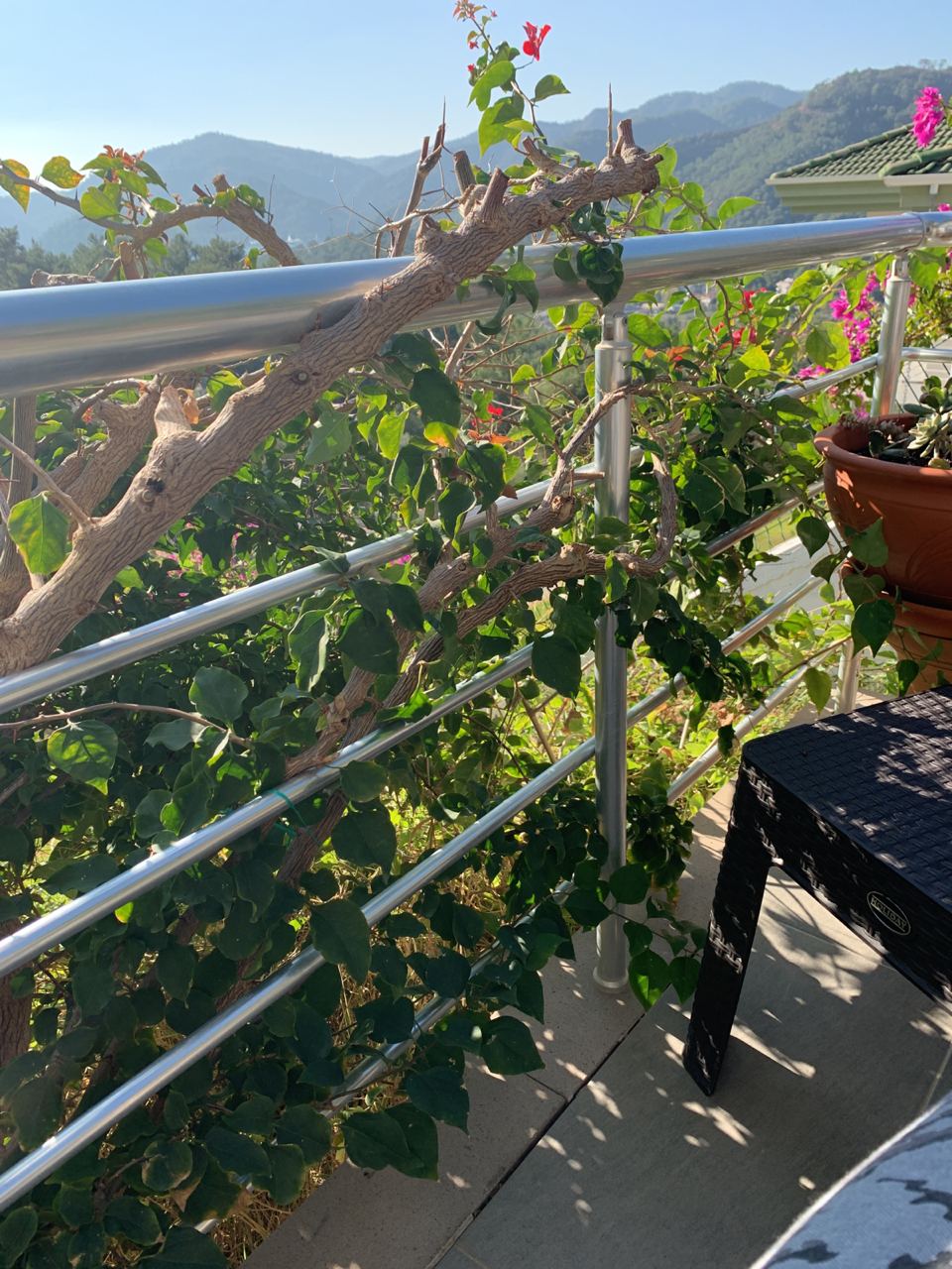 Turkish Slut Womans 15 arsivizm gallery