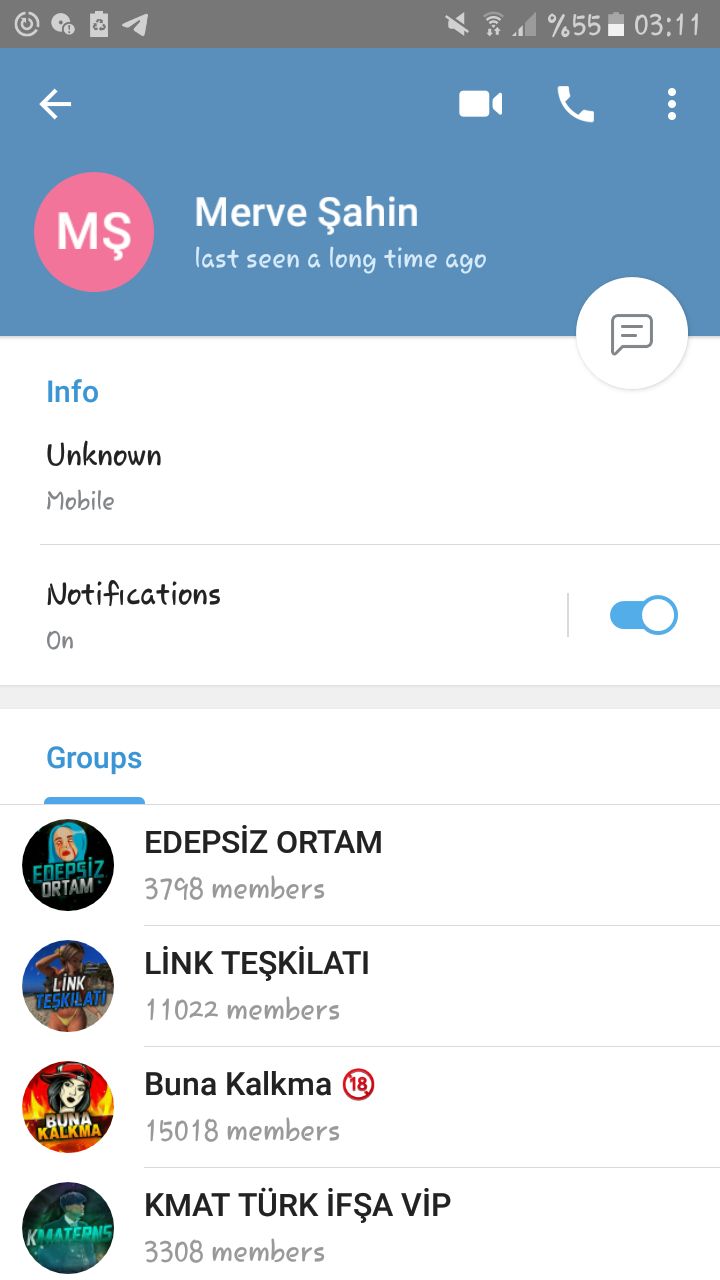 Turkish Slut Womans 16 arsivizm gallery