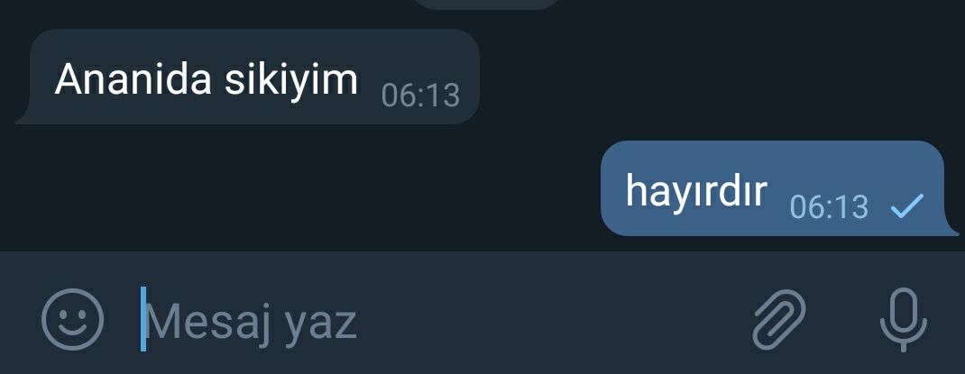 Turkish Slut Womans 19 arsivizm gallery