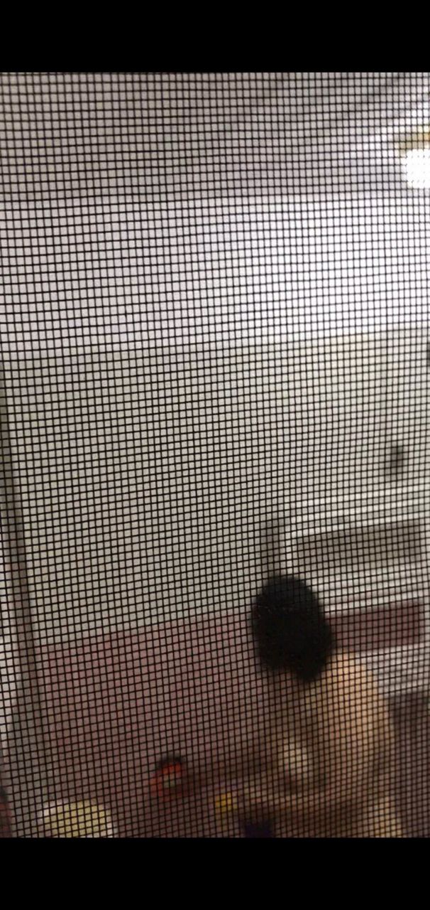 Turkish Slut Womans 20 arsivizm gallery