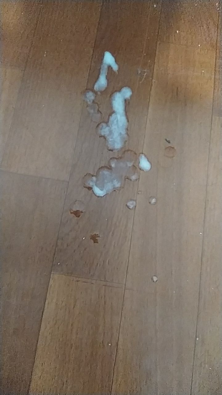 Turkish Slut Womans 21 arsivizm gallery