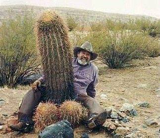 Turkish Slut Womans 23 arsivizm gallery