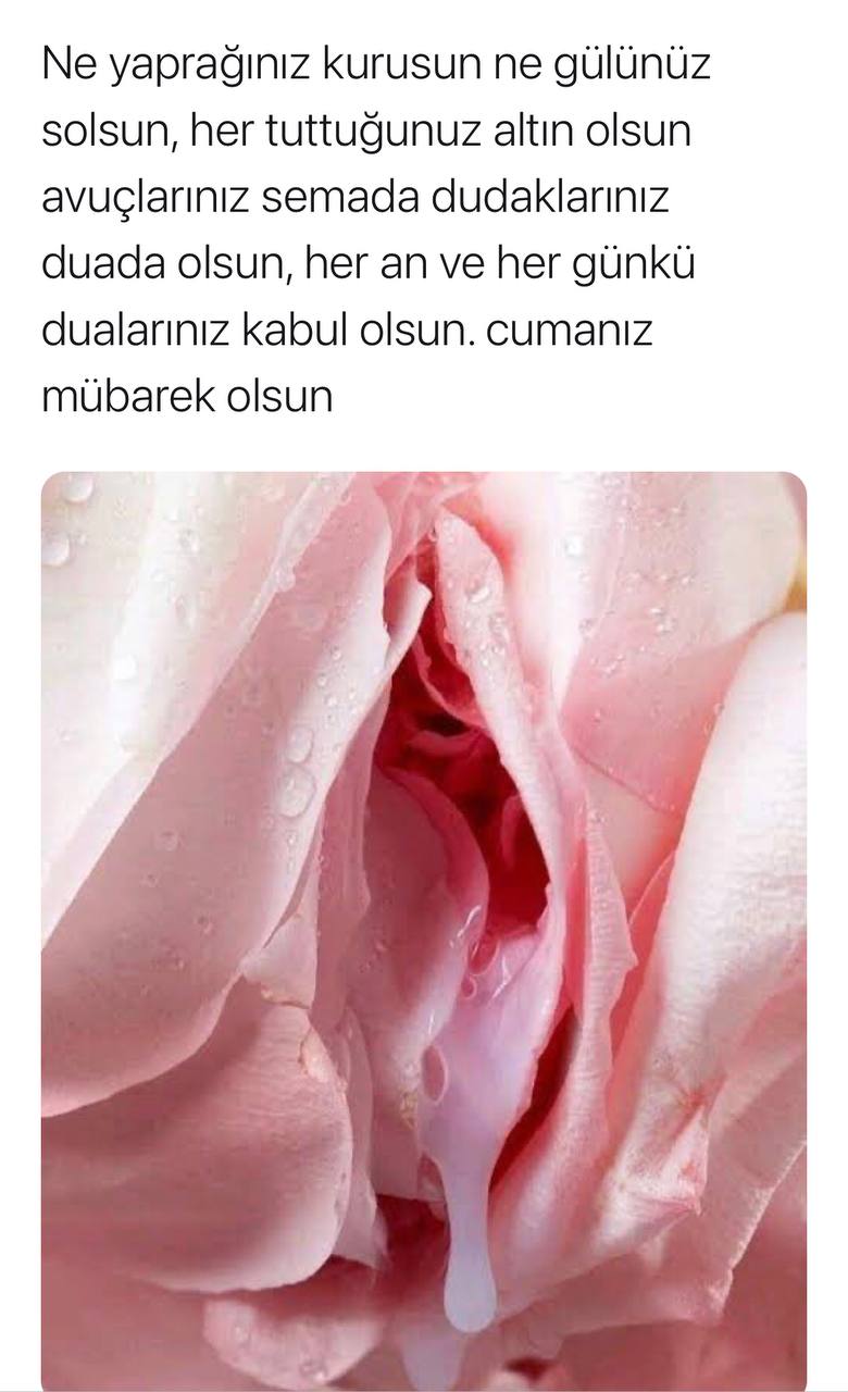 Turkish Slut Womans 24 arsivizm gallery