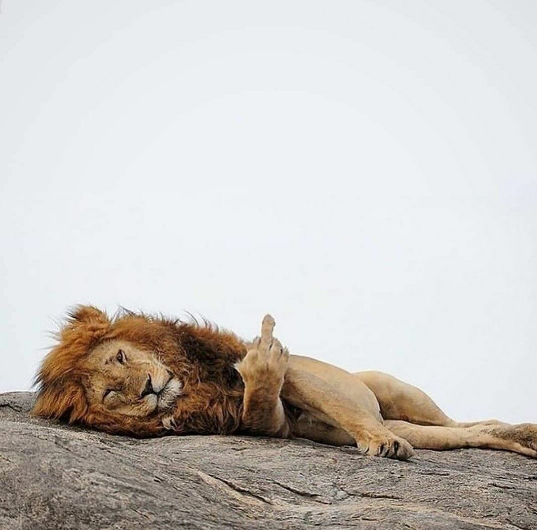 Turkish Slut Womans 24 arsivizm gallery