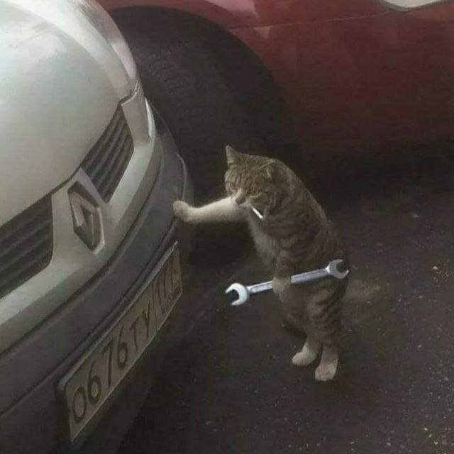 Turkish Slut Womans 24 arsivizm gallery