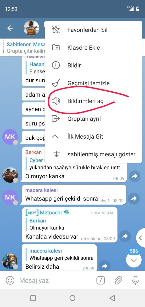 Turkish Slut Womans 24 arsivizm gallery