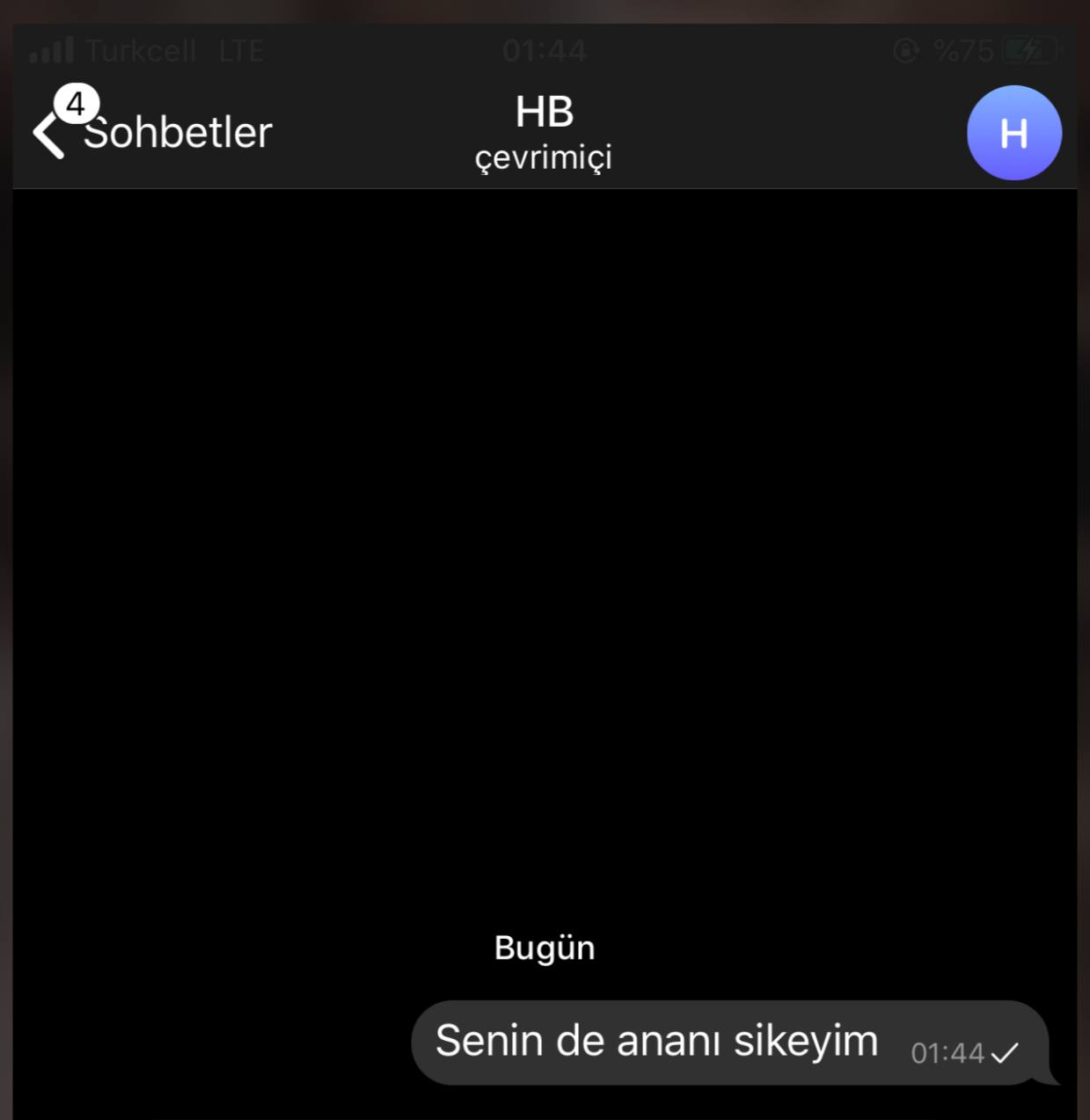 Turkish Slut Womans 28 arsivizm gallery