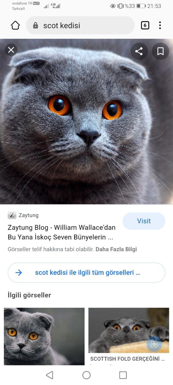 Turkish Slut Womans 31 arsivizm gallery