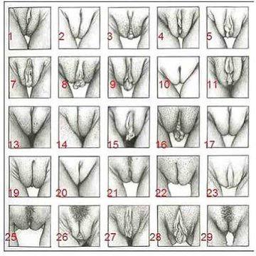 Turkish Slut Womans 31 arsivizm gallery