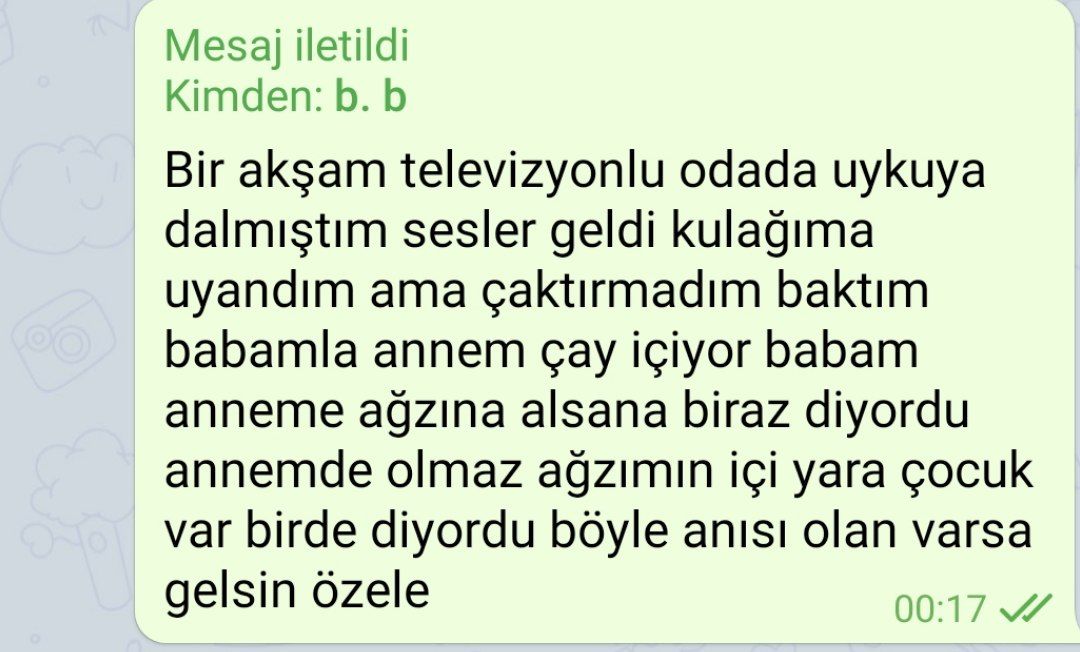 Turkish Slut Womans 31 arsivizm gallery