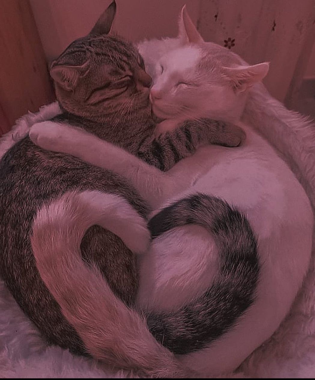 Turkish Slut Womans 33 arsivizm gallery