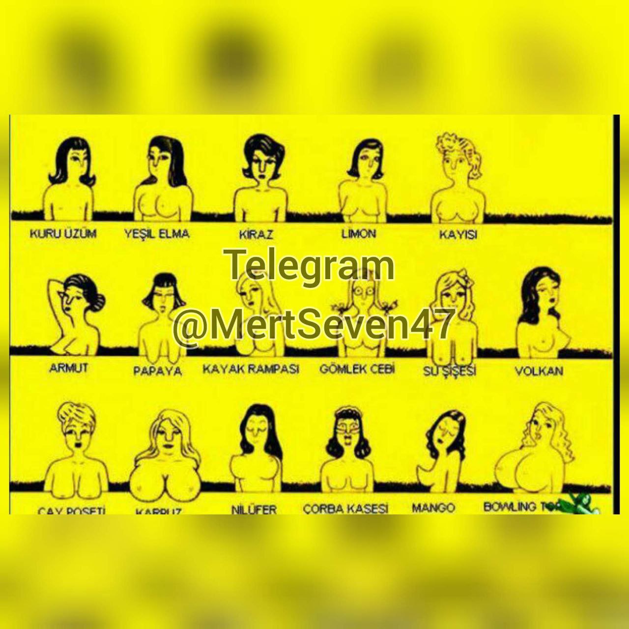 Turkish Slut Womans 35 arsivizm gallery