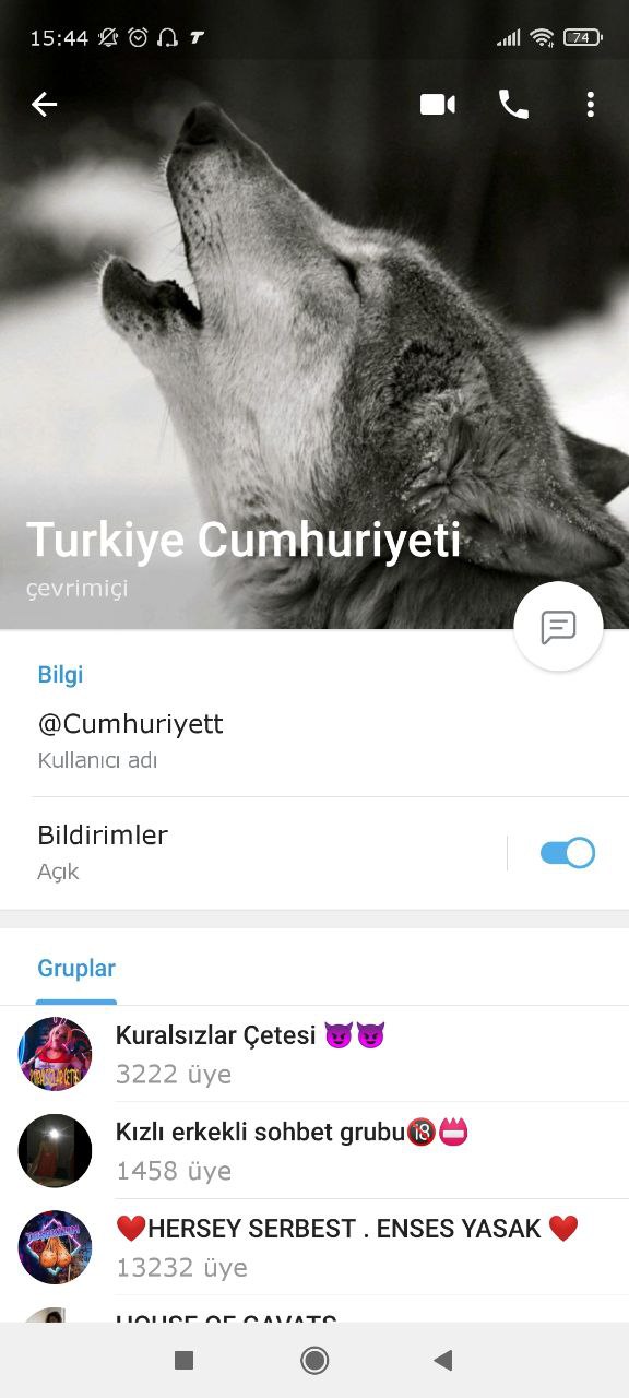 Turkish Slut Womans 36 arsivizm gallery