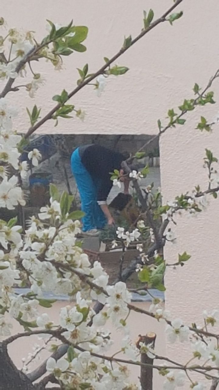 Turkish Slut Womans 45 arsivizm gallery