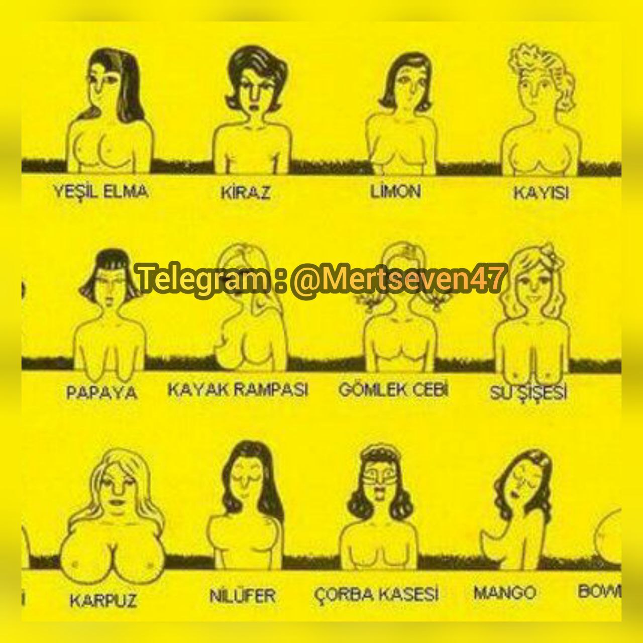 Turkish Slut Womans 45 arsivizm gallery