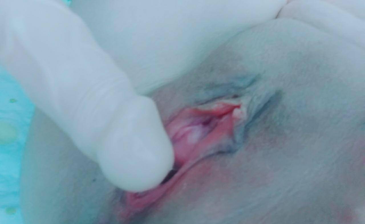 Turkish Slut Womans 45 arsivizm gallery