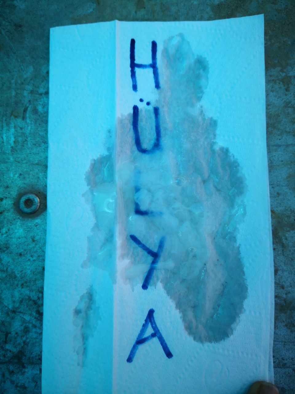 Turkish Slut Womans 46 arsivizm gallery