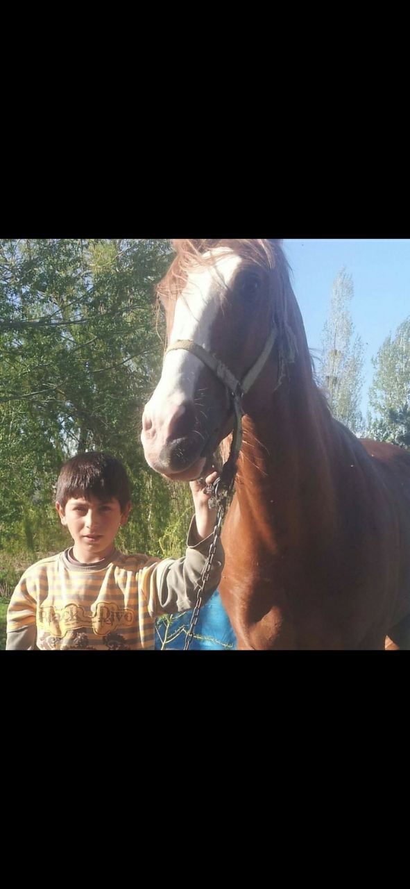 Turkish Slut Womans 50 arsivizm gallery