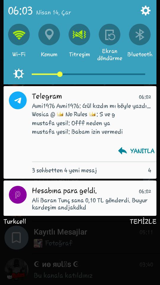 Turkish Slut Womans 52 arsivizm gallery