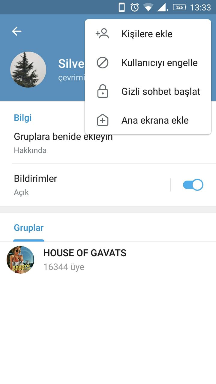 Turkish Slut Womans 53 arsivizm gallery