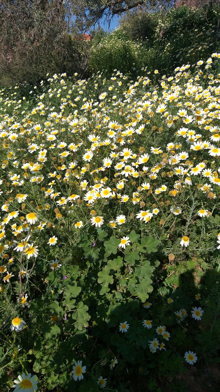 Turkish Slut Womans 60 arsivizm gallery