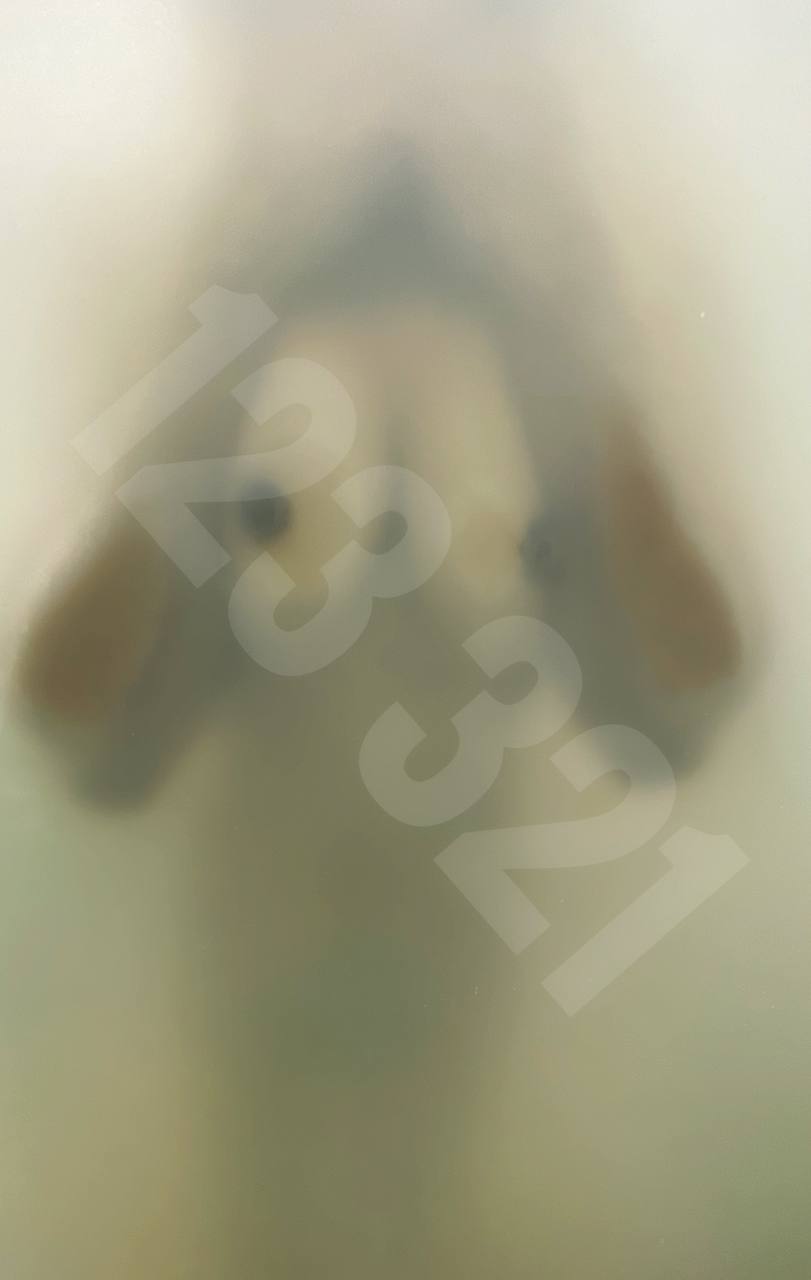 Turkish Slut Womans 61 arsivizm gallery