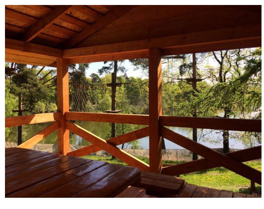 Turkish and Mix Country Slut Womans-5 arsivizm gallery