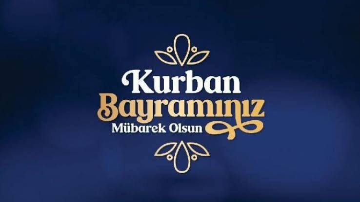 Turkish Slut Womans 71 arsivizm gallery