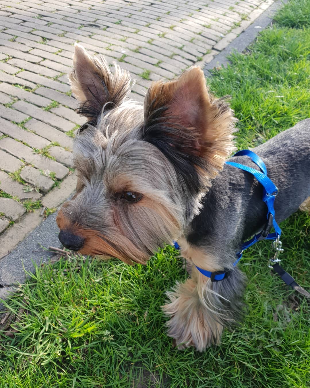 instagram _alice_rubi_ arsivizm gallery