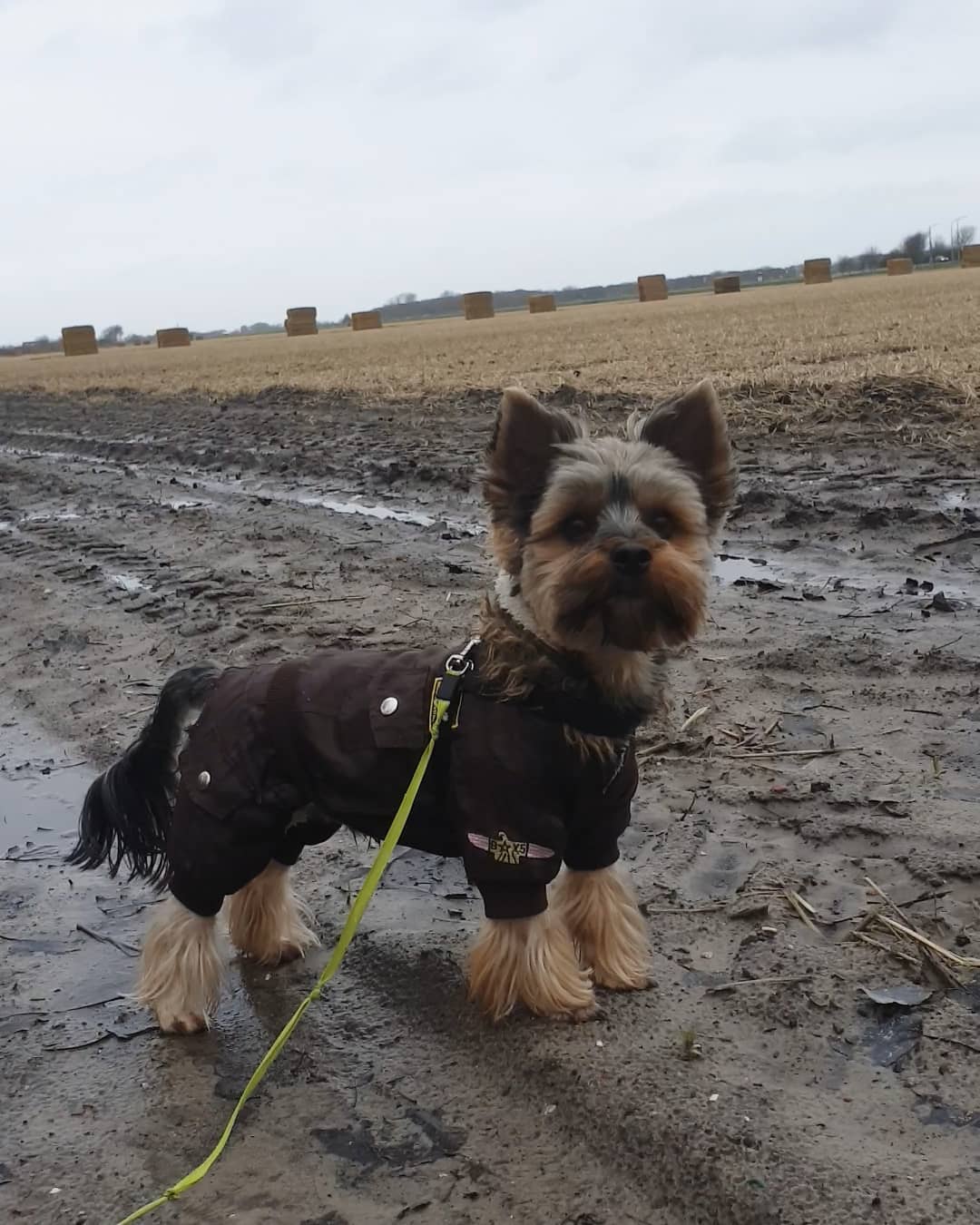 instagram _alice_rubi_ arsivizm gallery