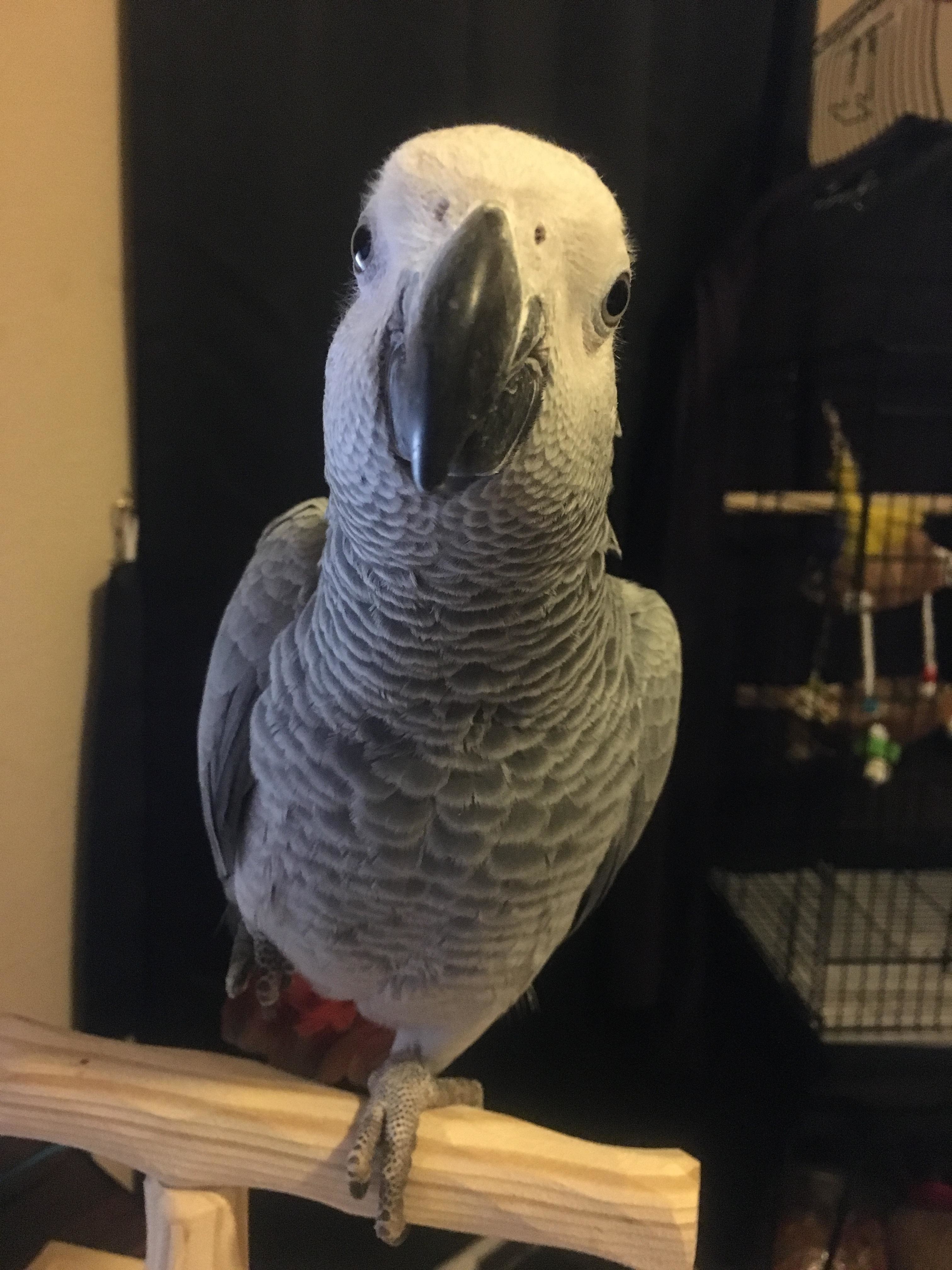 Nice Girl In Front Of Her Mirror