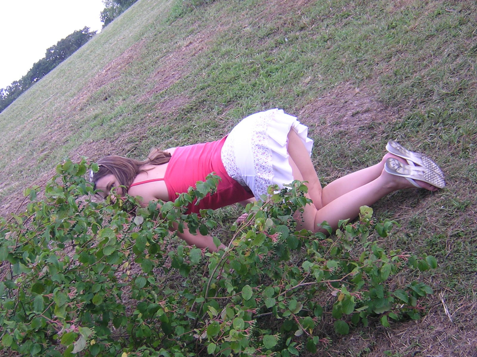 The Chronicles of Amanda