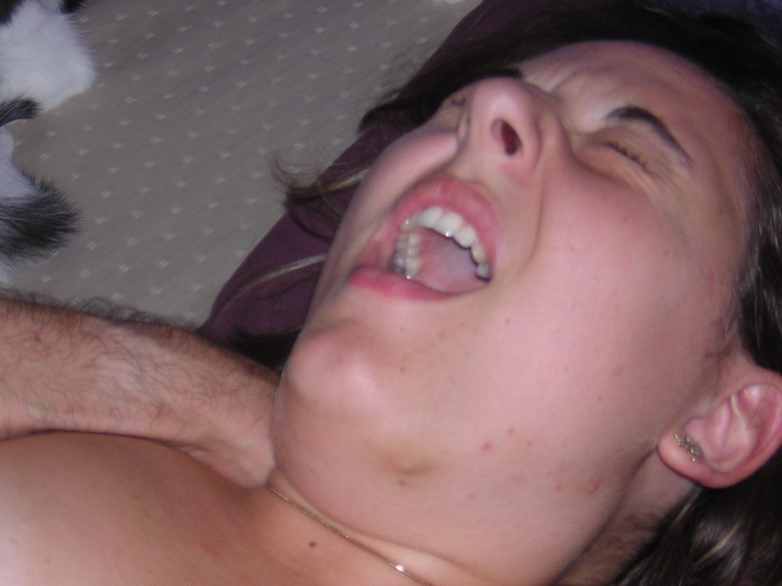 The Chronicles of Amanda