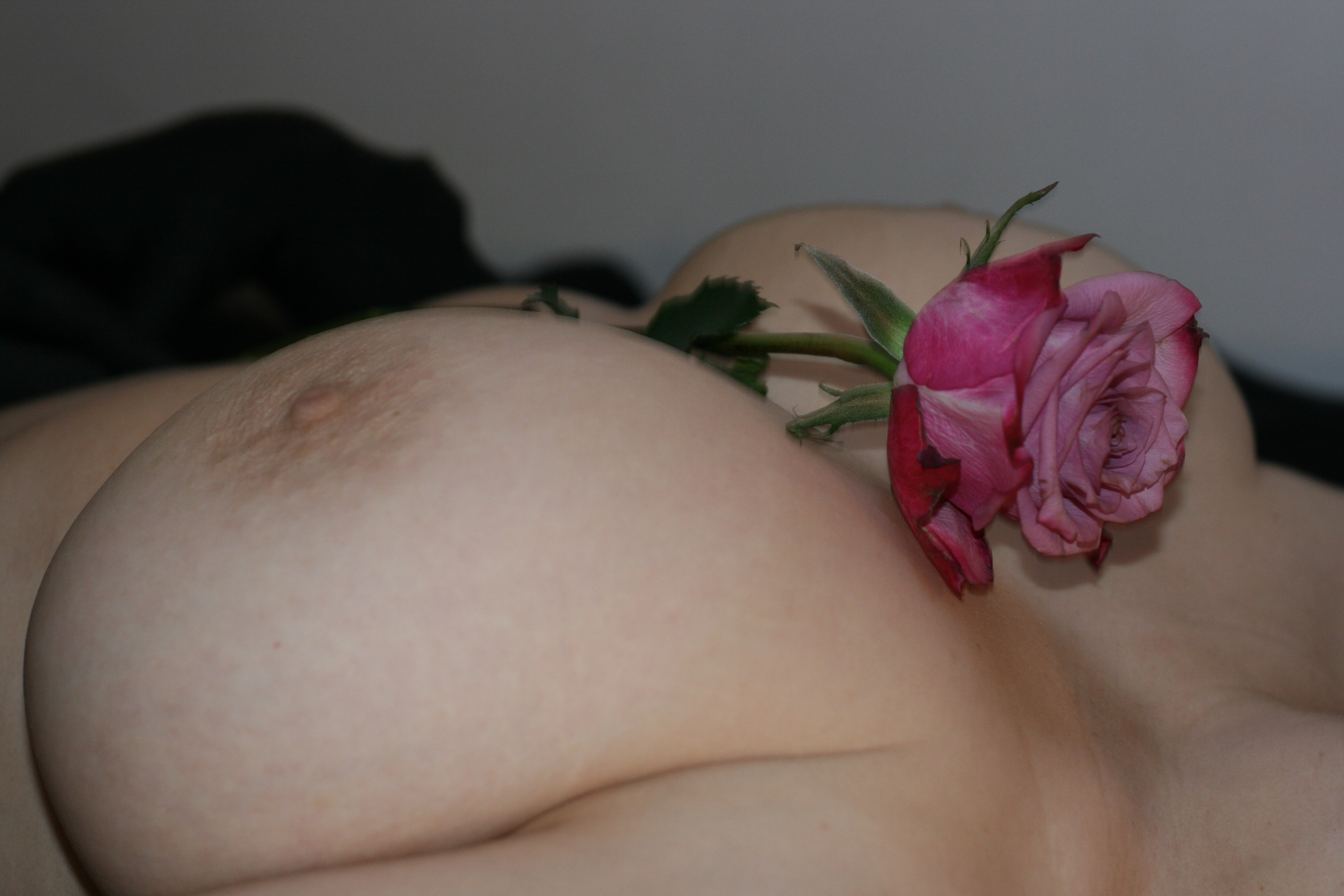 Sarahporn69's flower