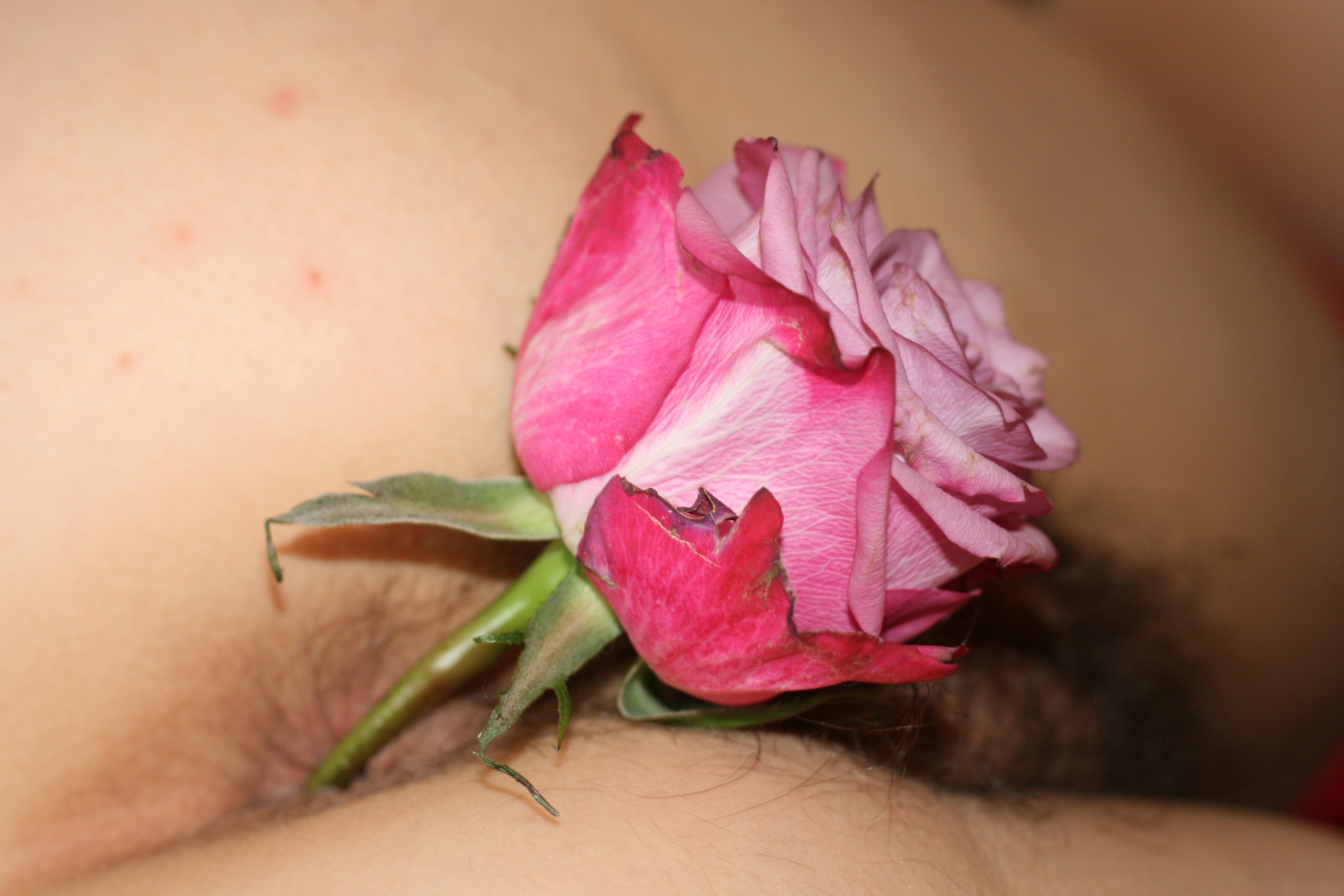 Sarahporn69's flower